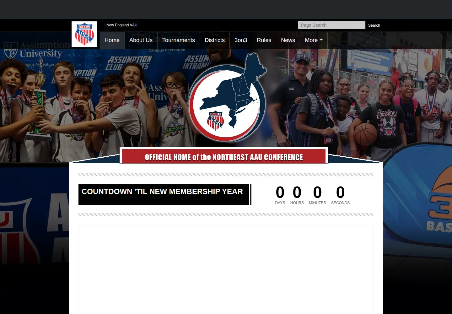 Screenshot of neaaubasketball.org