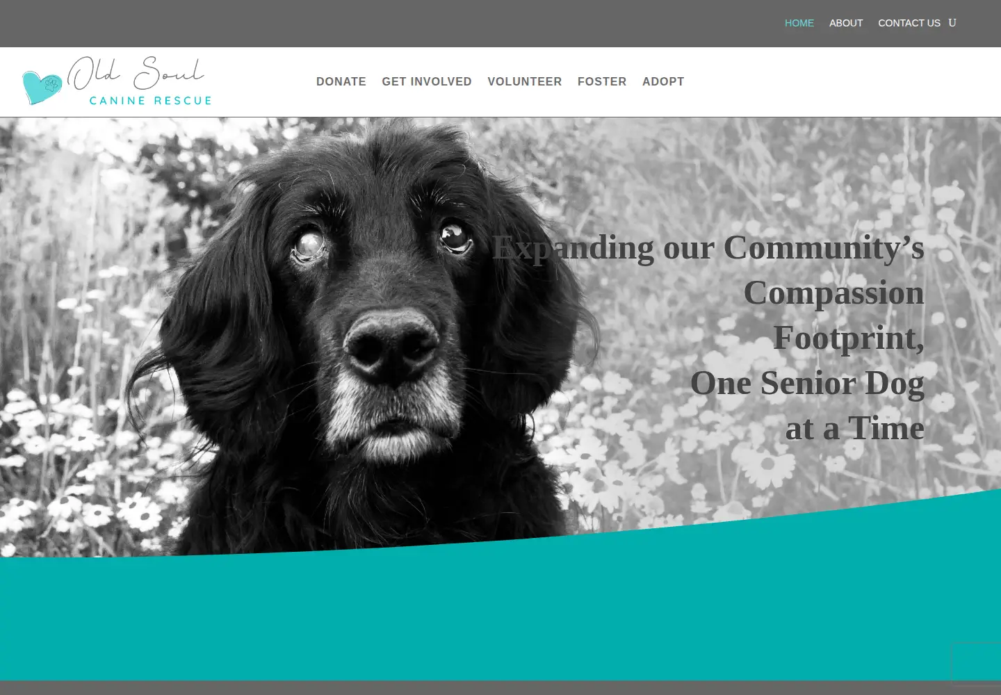 Captured homepage of oldsoulcaninerescue.org in the current scan