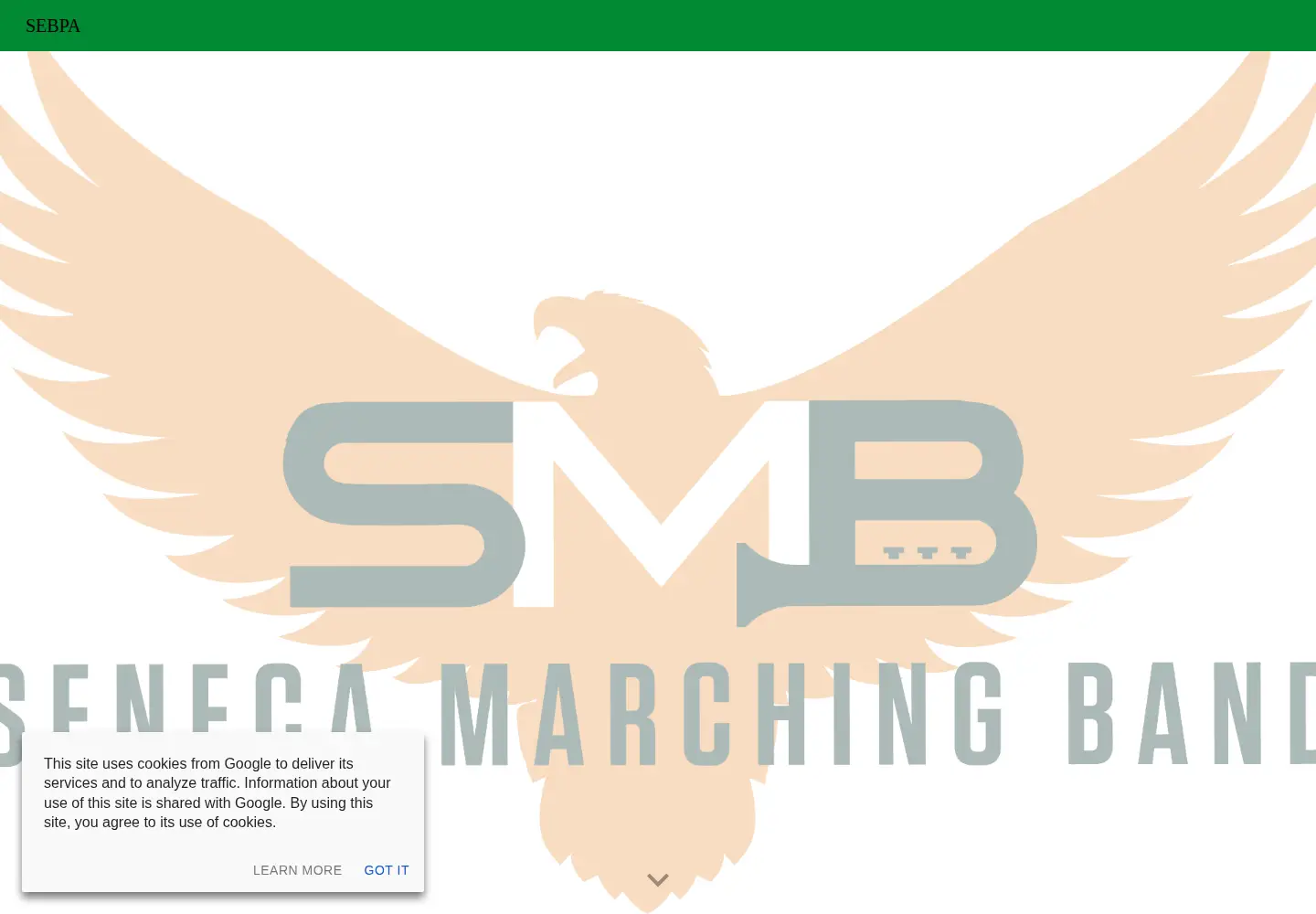 Captured homepage of sebpa.org in the current scan