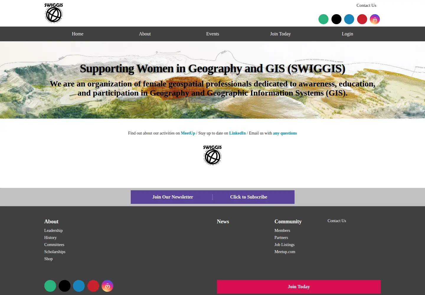 Captured homepage of swiggis.org in the current scan