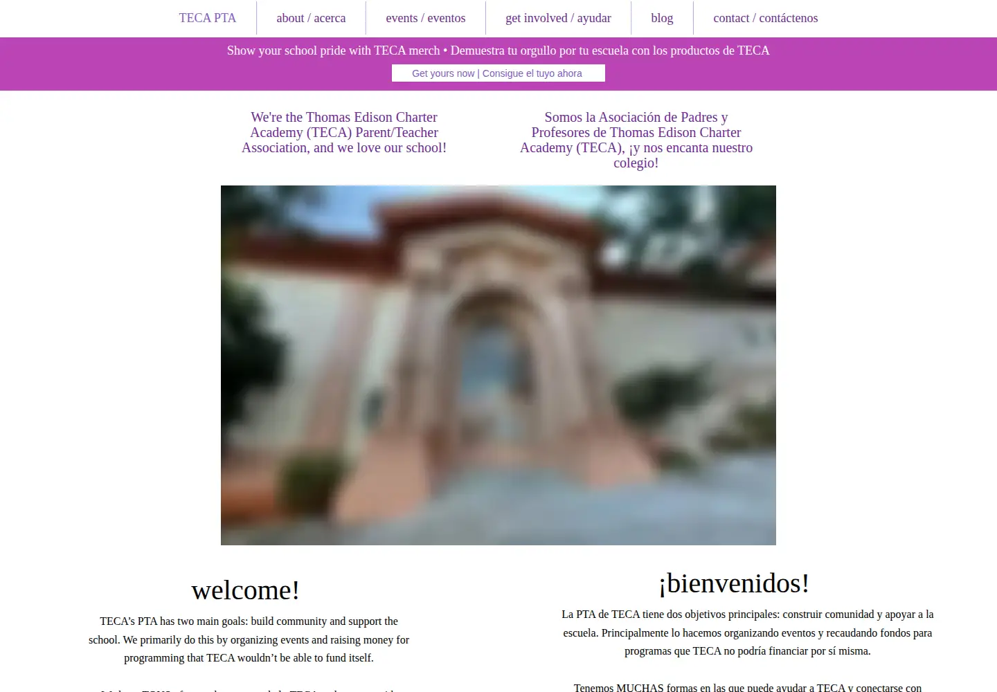 Captured homepage of tecapta.org in the current scan