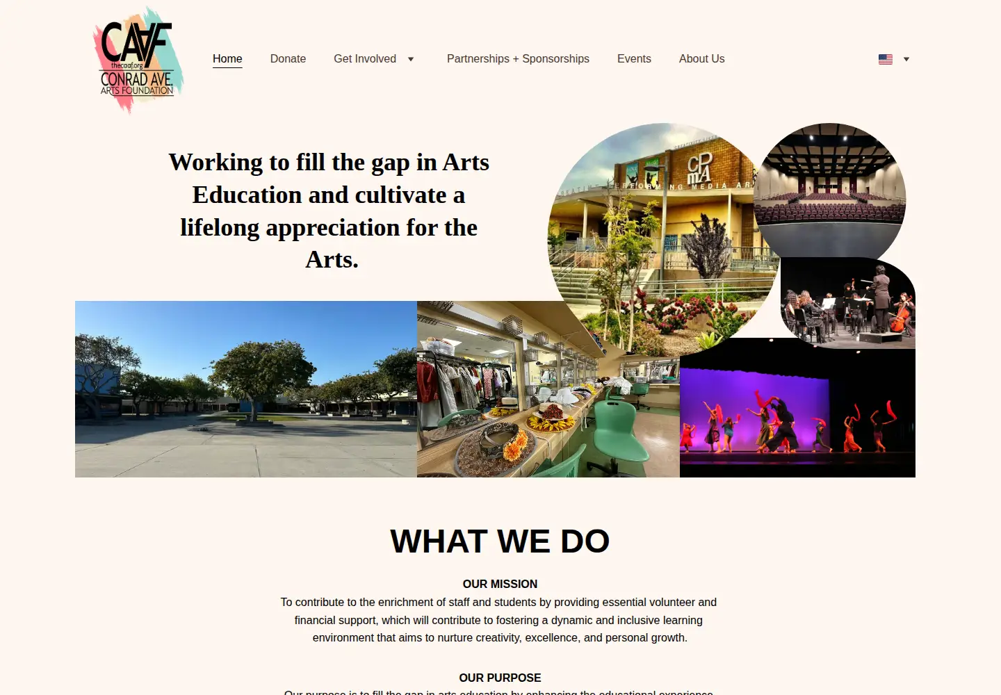 Screenshot of thecaaf.org
