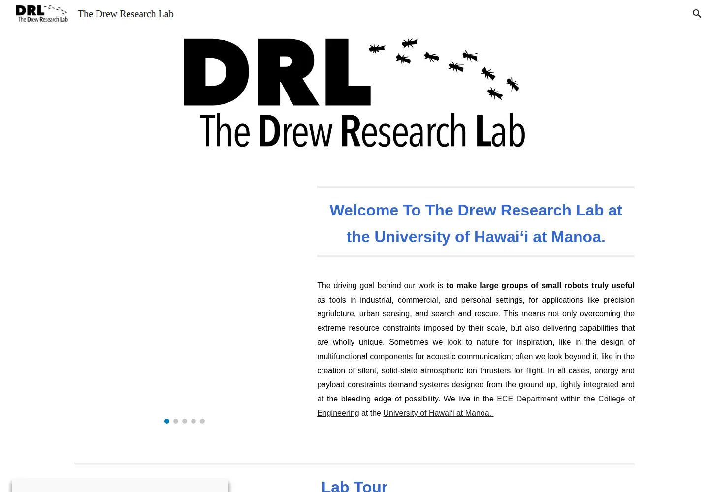 Screenshot of thedrl.org