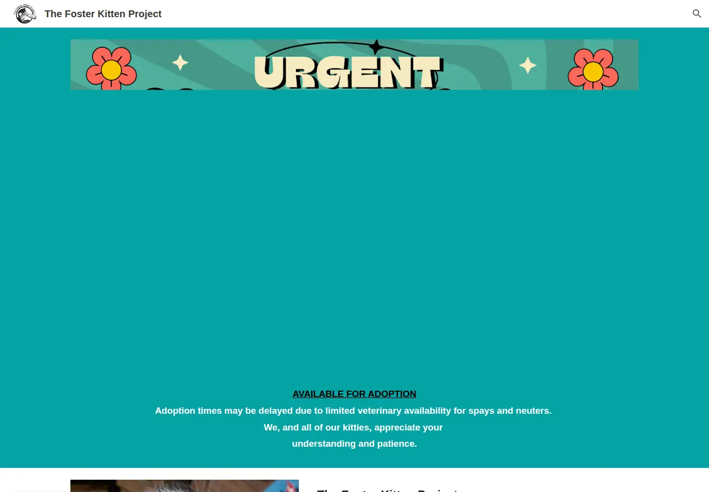 Captured homepage of thefosterkittenproject.org in the current scan