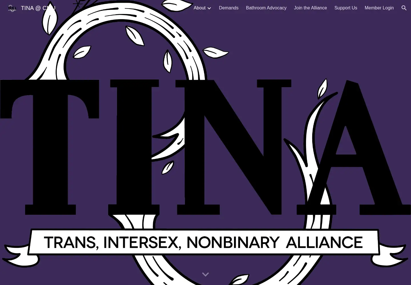 Captured homepage of tinalliance.org in the current scan