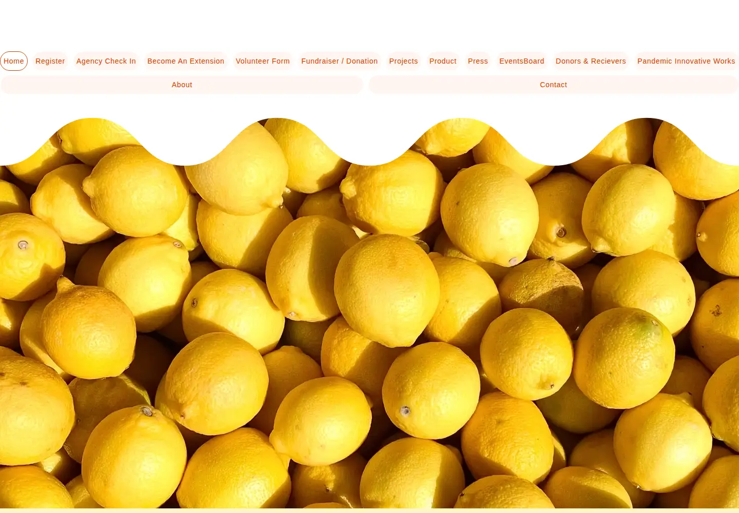 Captured homepage of vidalifeministries.org in the current scan