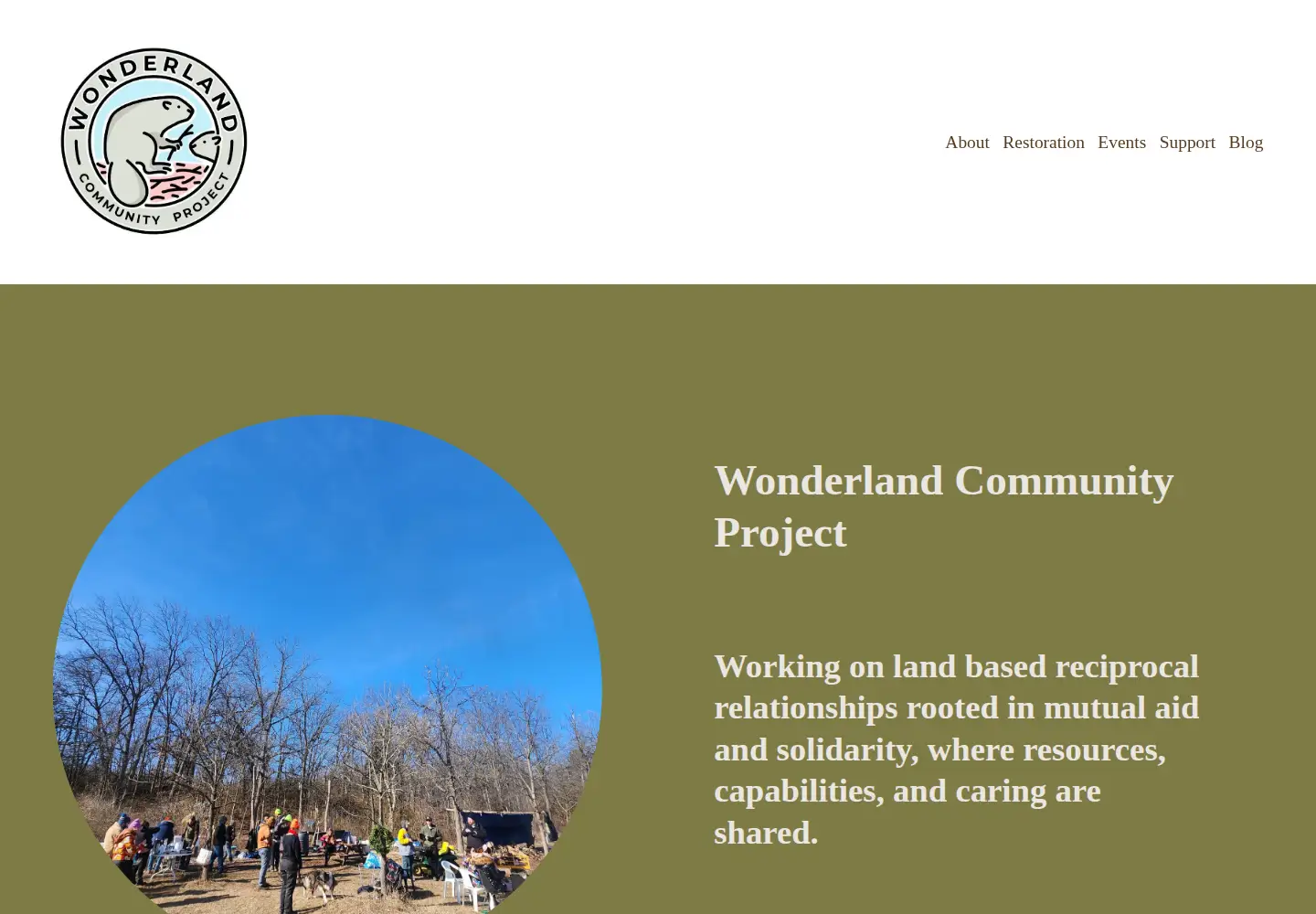 Screenshot of wonderlandcommunityproject.org