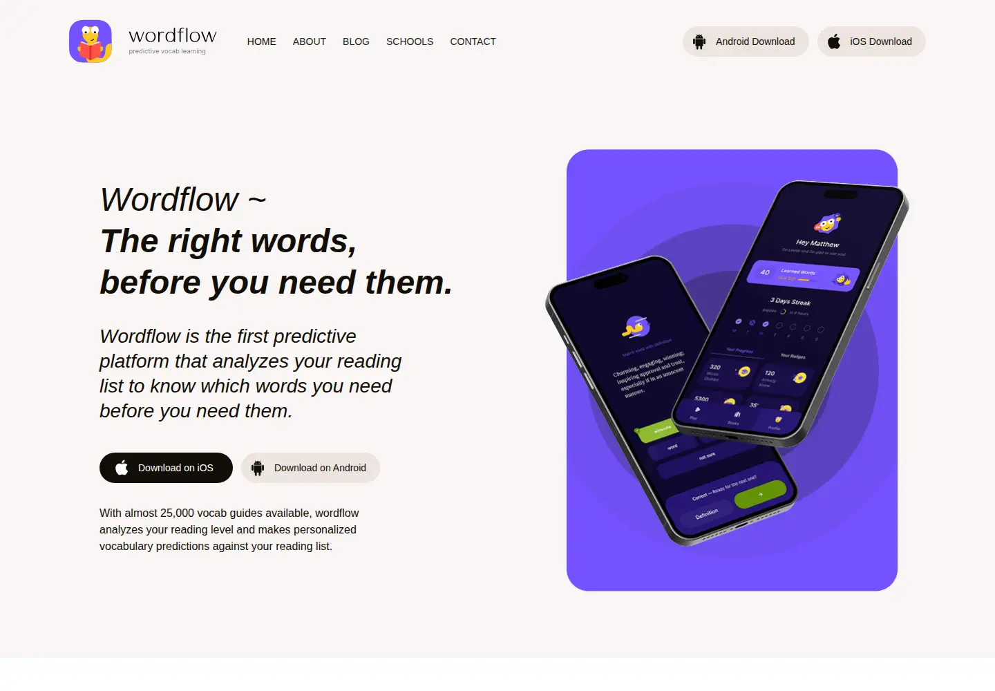 Captured homepage of wordflowapp.org in the current scan