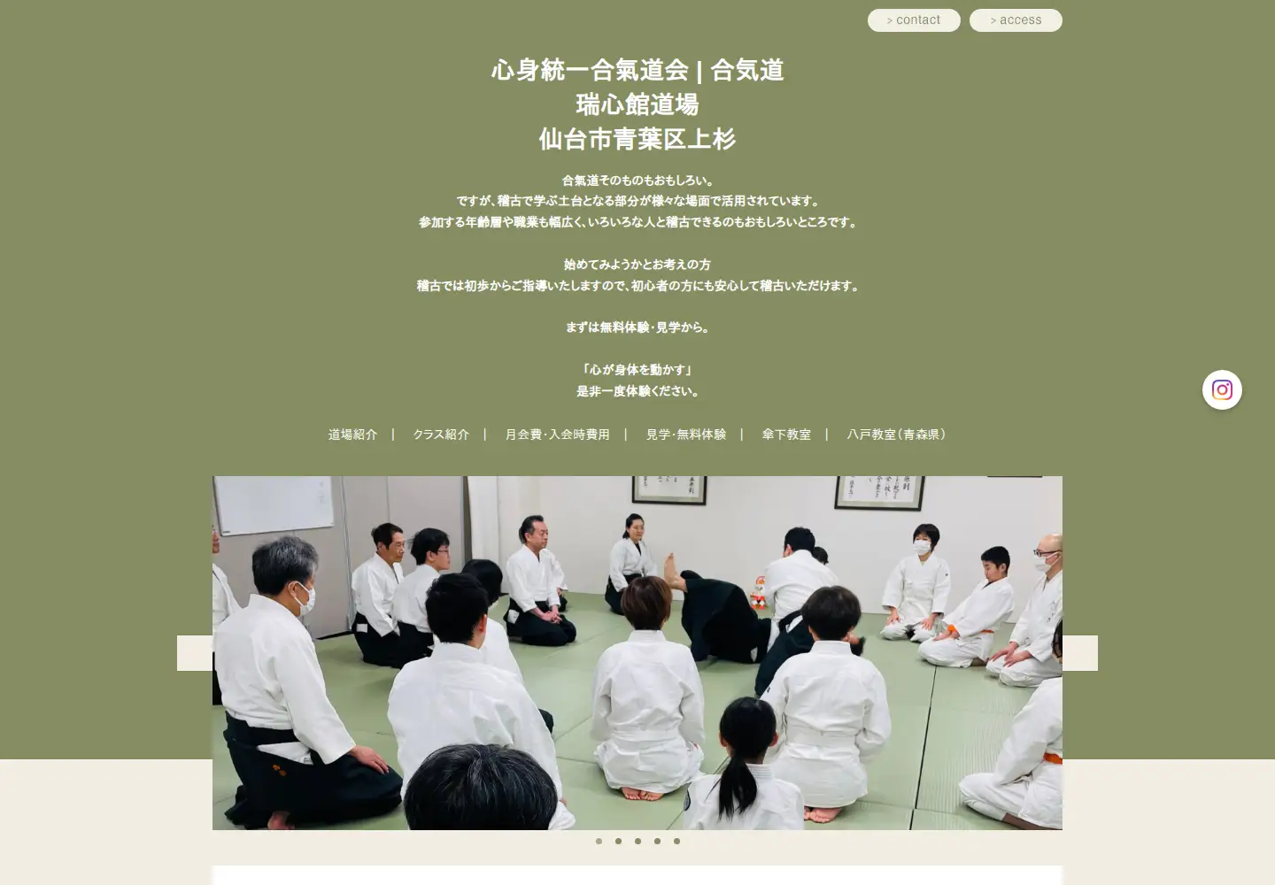 Screenshot of zuishinkan.org