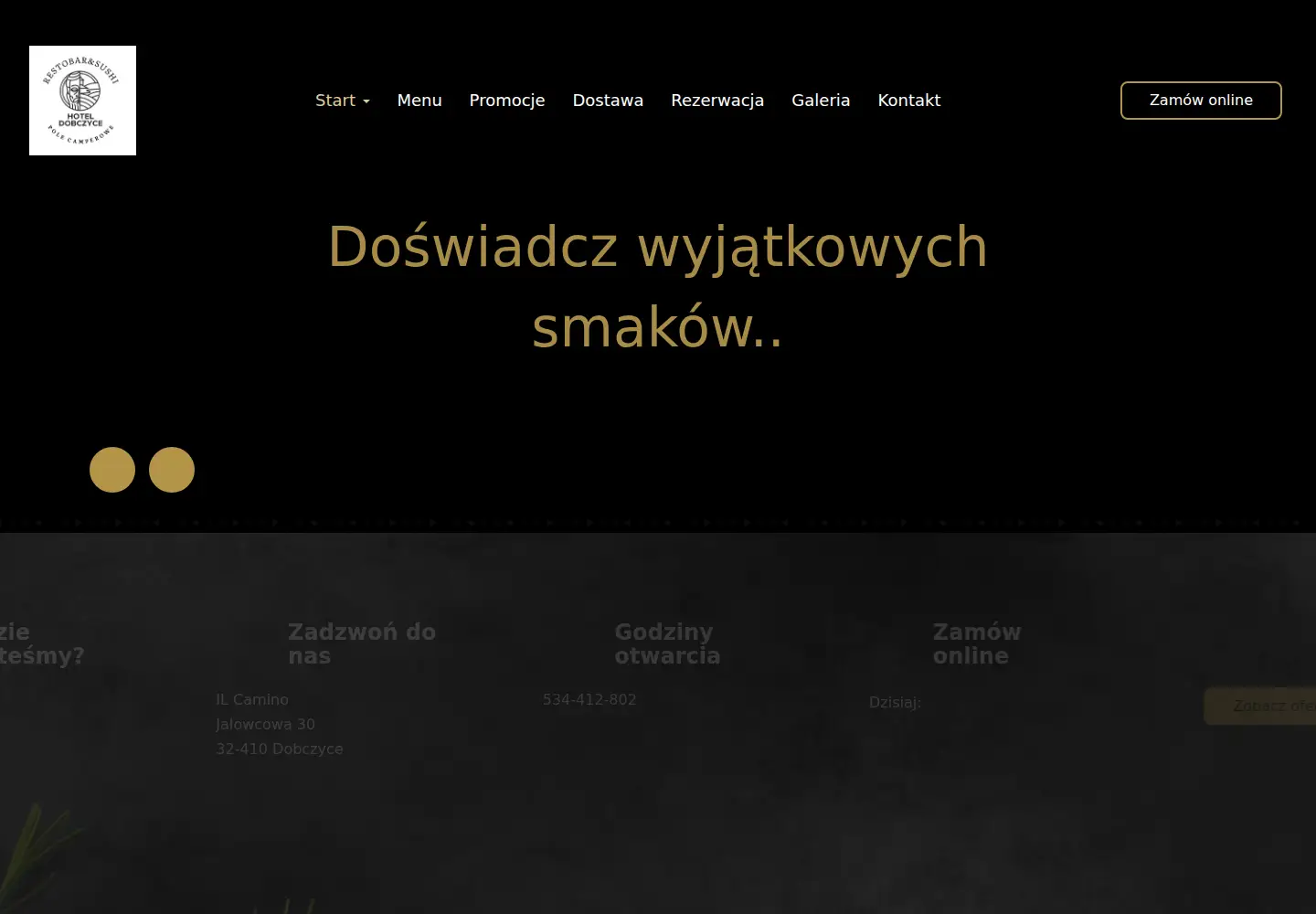 Captured homepage of ilcamino.com.pl in the current scan