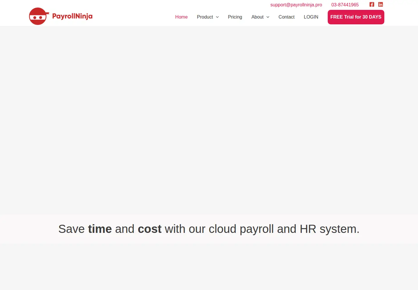 Captured homepage of payrollninja.pro in the current scan