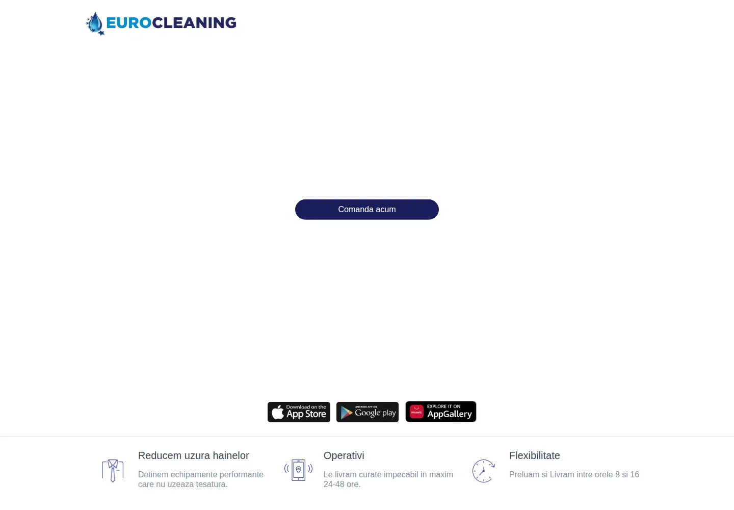 Screenshot of eurocleaning.ro