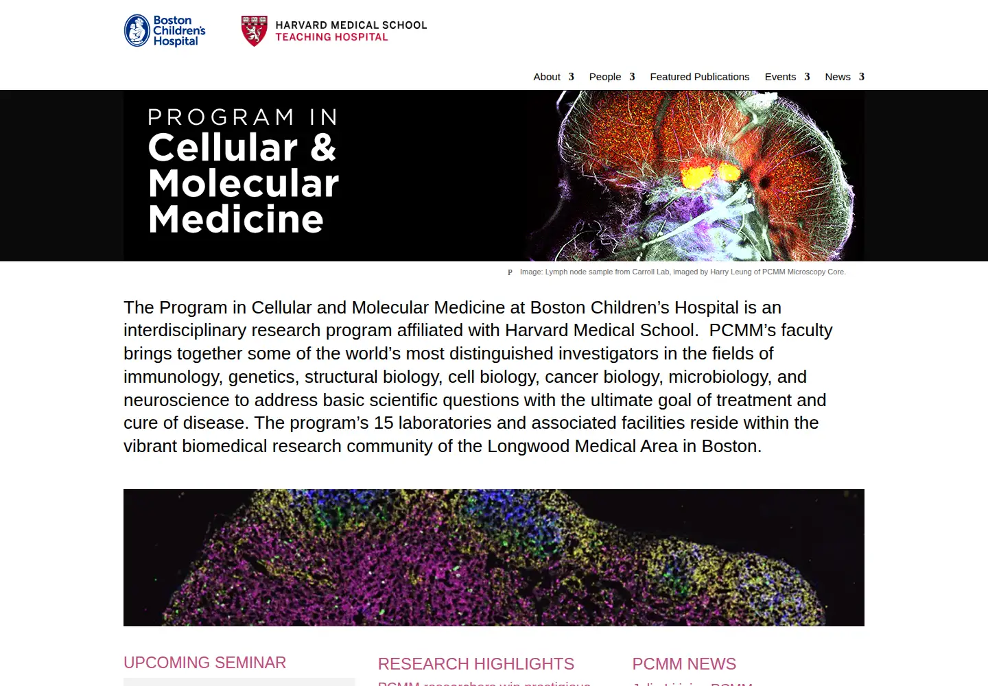 Captured homepage of pcmm.science in the current scan