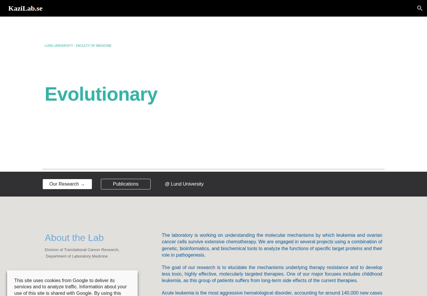 Captured homepage of kazilab.se in the current scan