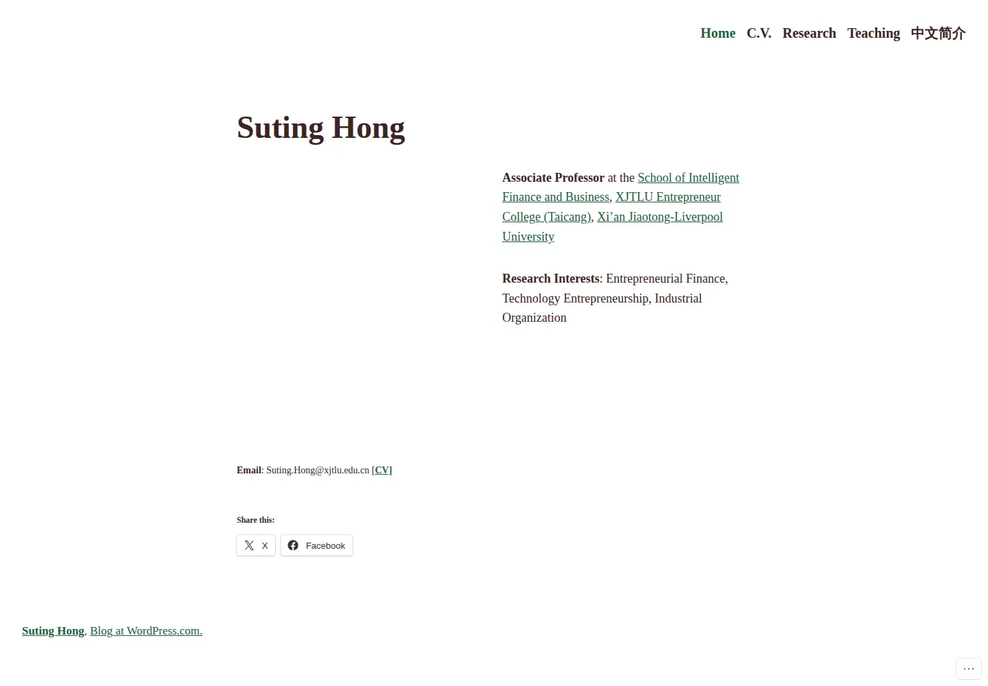 Captured homepage of sutinghong.site in the current scan