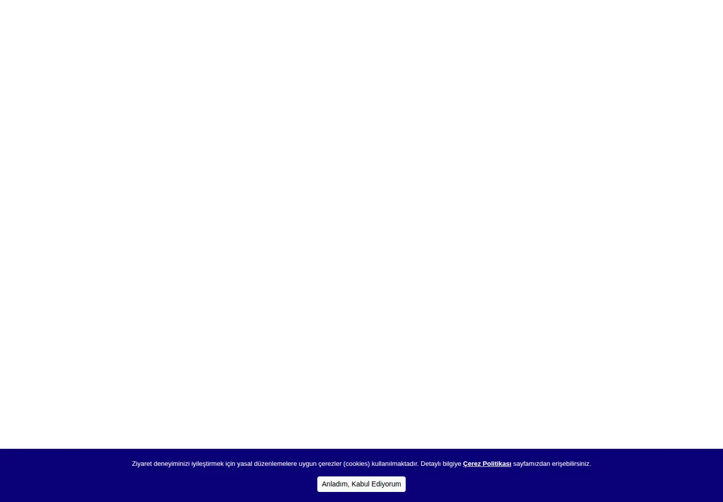 Captured homepage of pleco.com.tr in the current scan