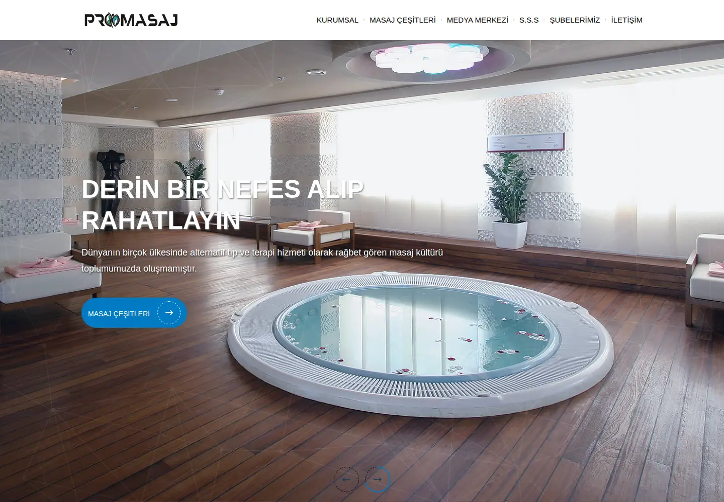 Captured homepage of promasaj.com.tr in the current scan