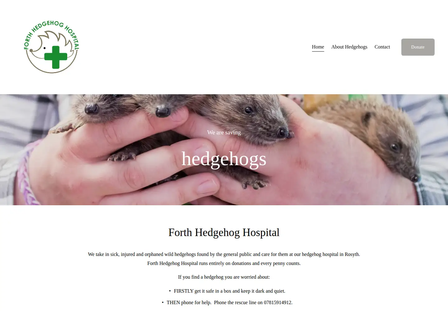 Screenshot of hedgehoghospital.org.uk