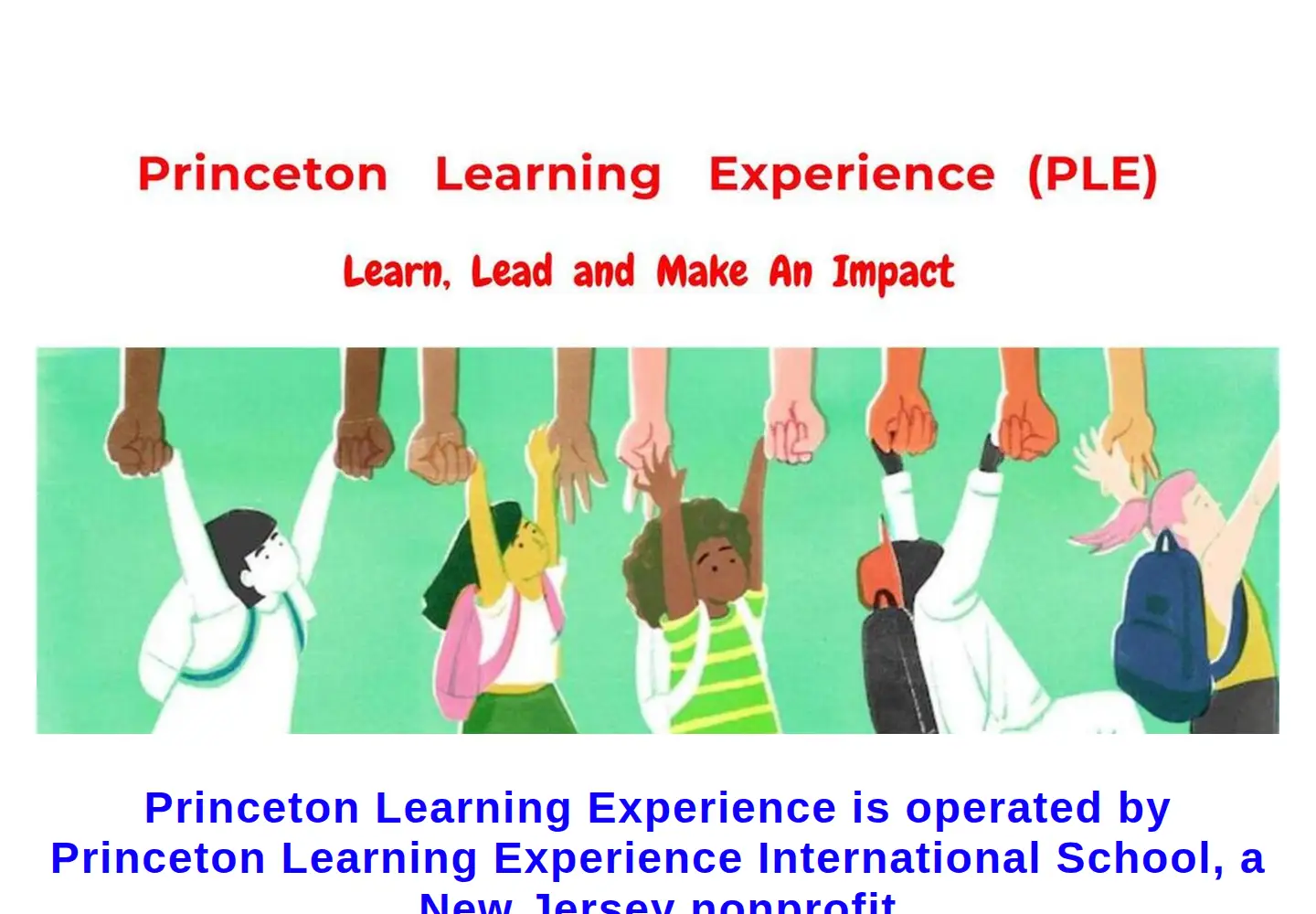 Captured homepage of pleis.us in the current scan