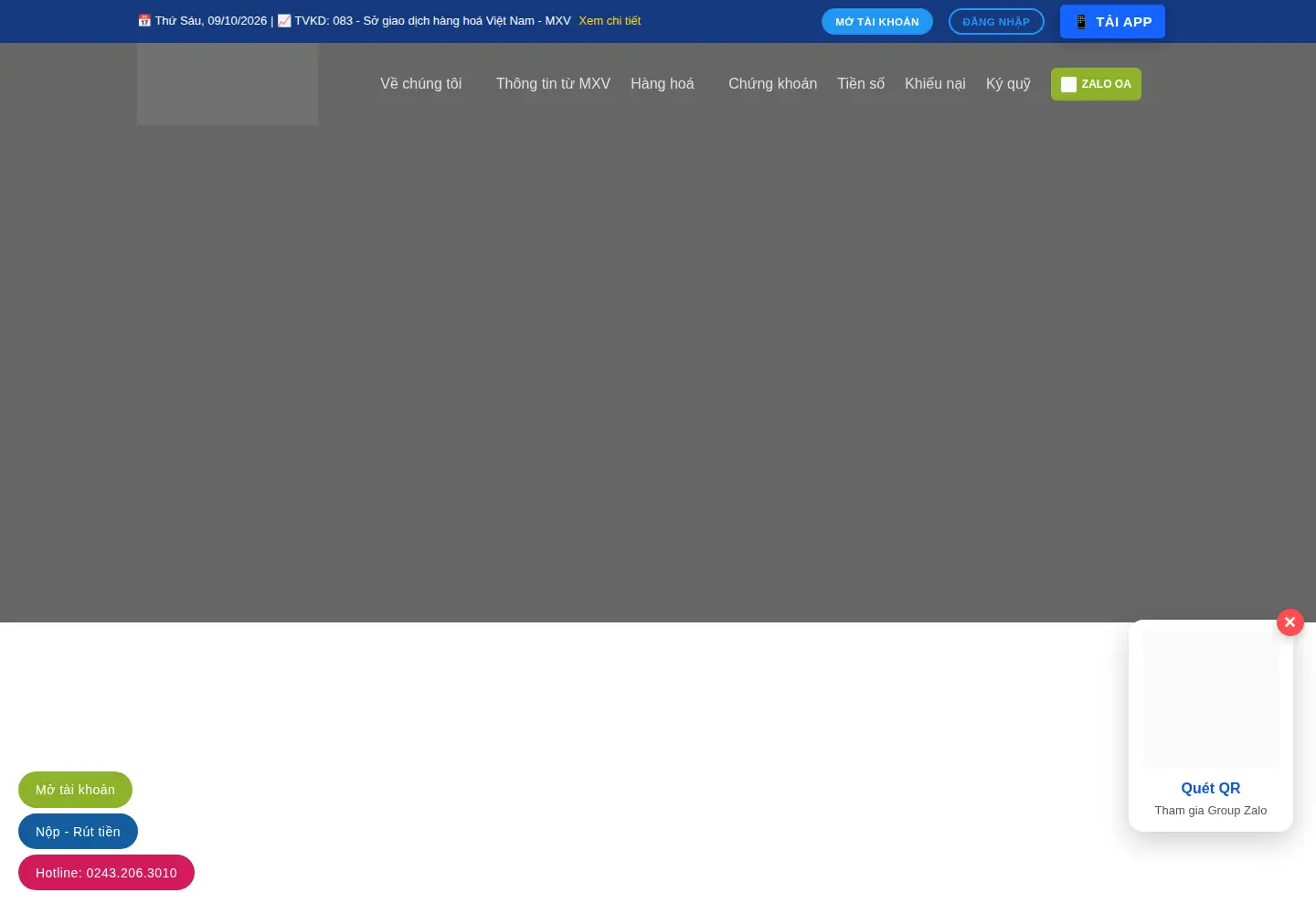 Screenshot of fintex.net.vn