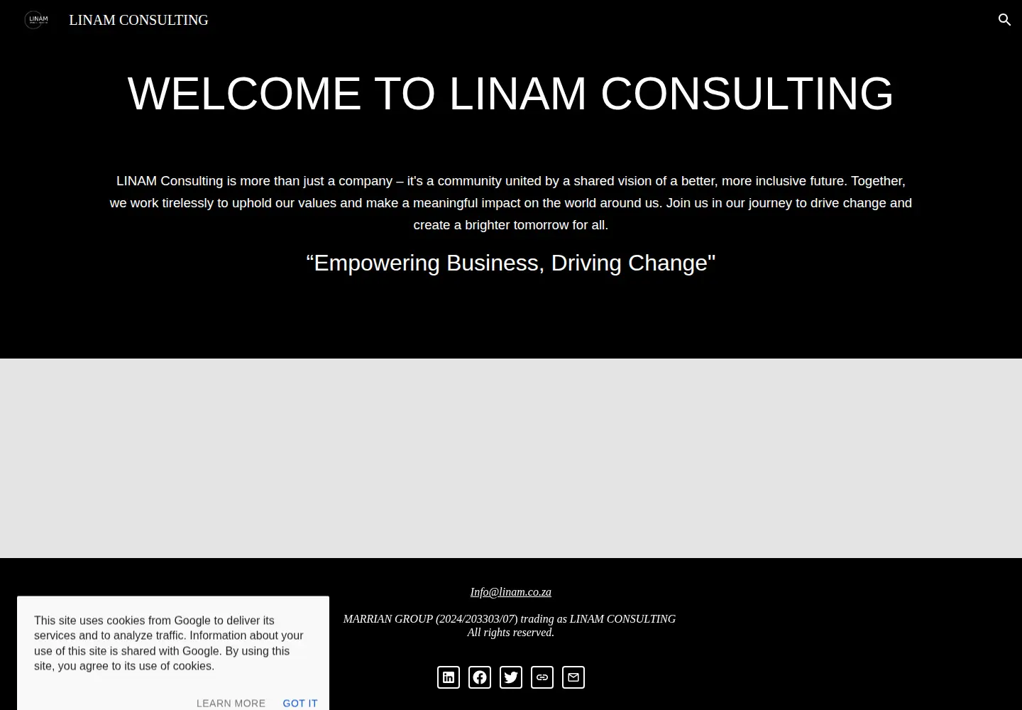 Captured homepage of linam.co.za in the current scan