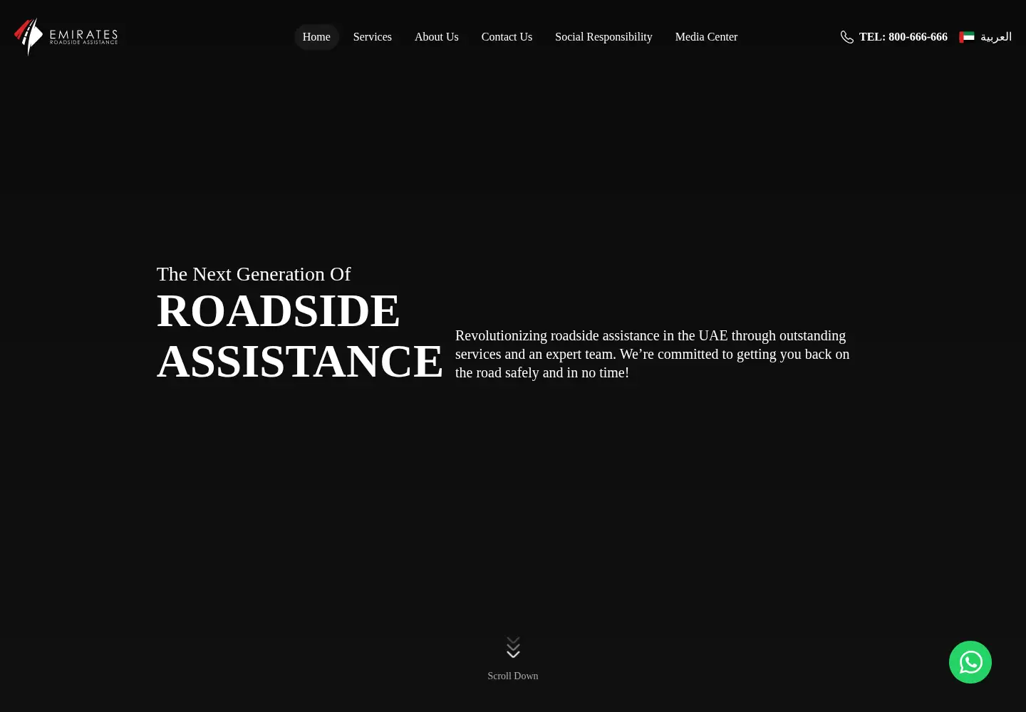 Screenshot of ersa.ae