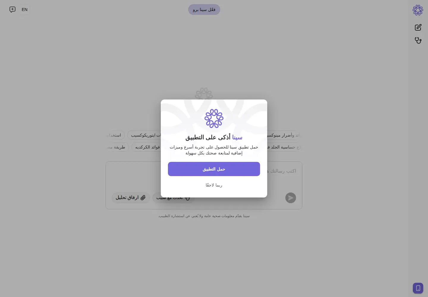 Screenshot of asksina.ai