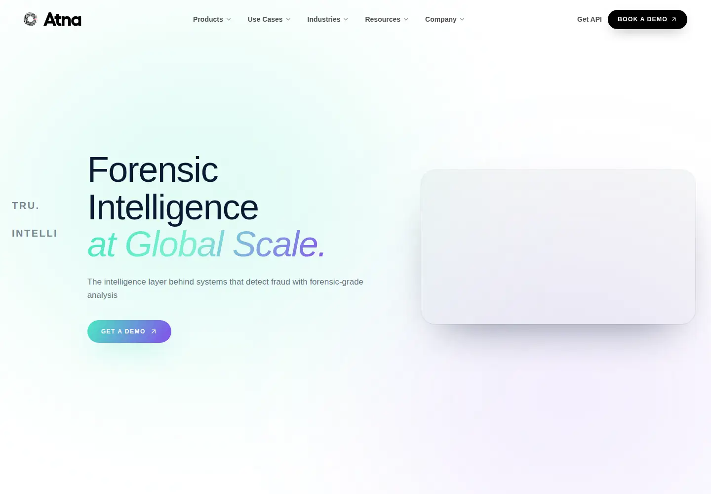 Captured homepage of atna.ai in the current scan