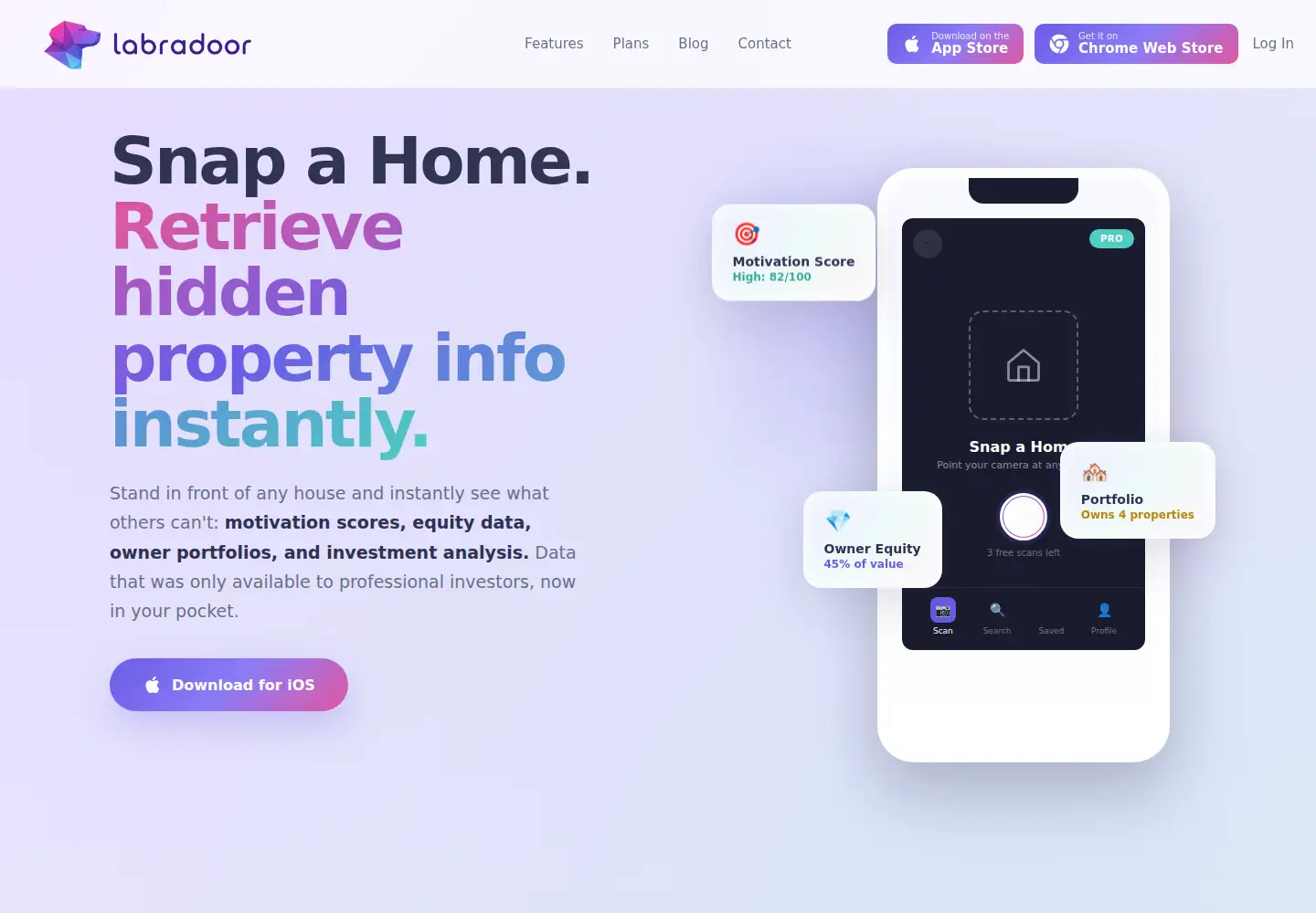 Captured homepage of labradoor.ai in the current scan