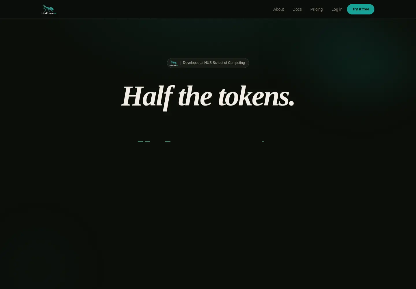 Captured homepage of litepruner.ai in the current scan