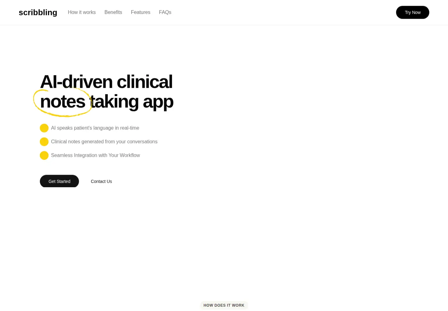 Captured homepage of scribbling.ai in the current scan