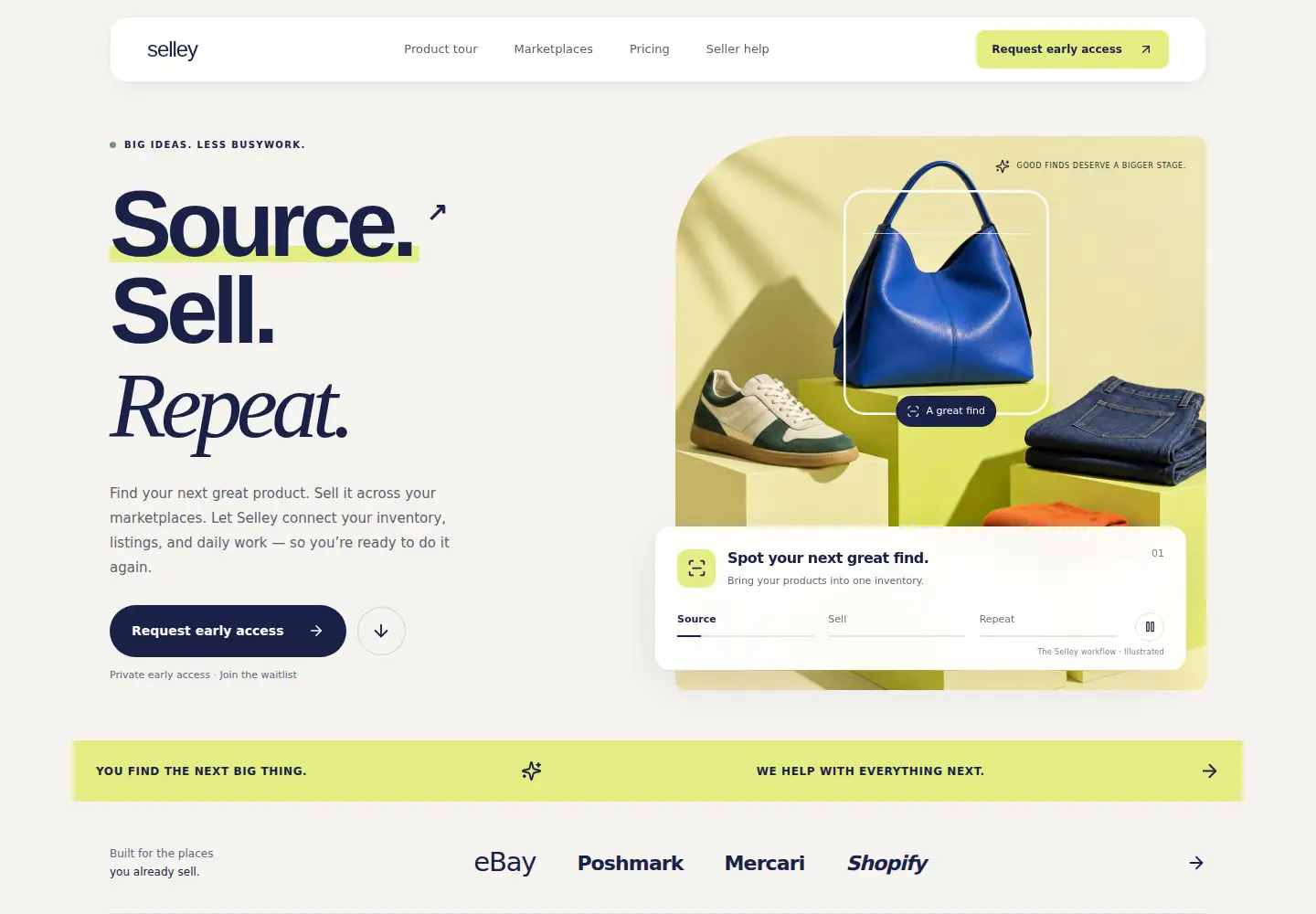 Captured homepage of selley.ai in the current scan