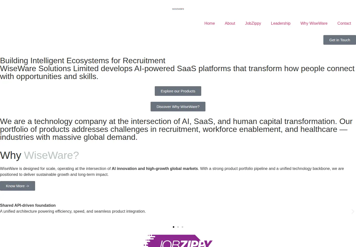 Captured homepage of wiseware.ai in the current scan