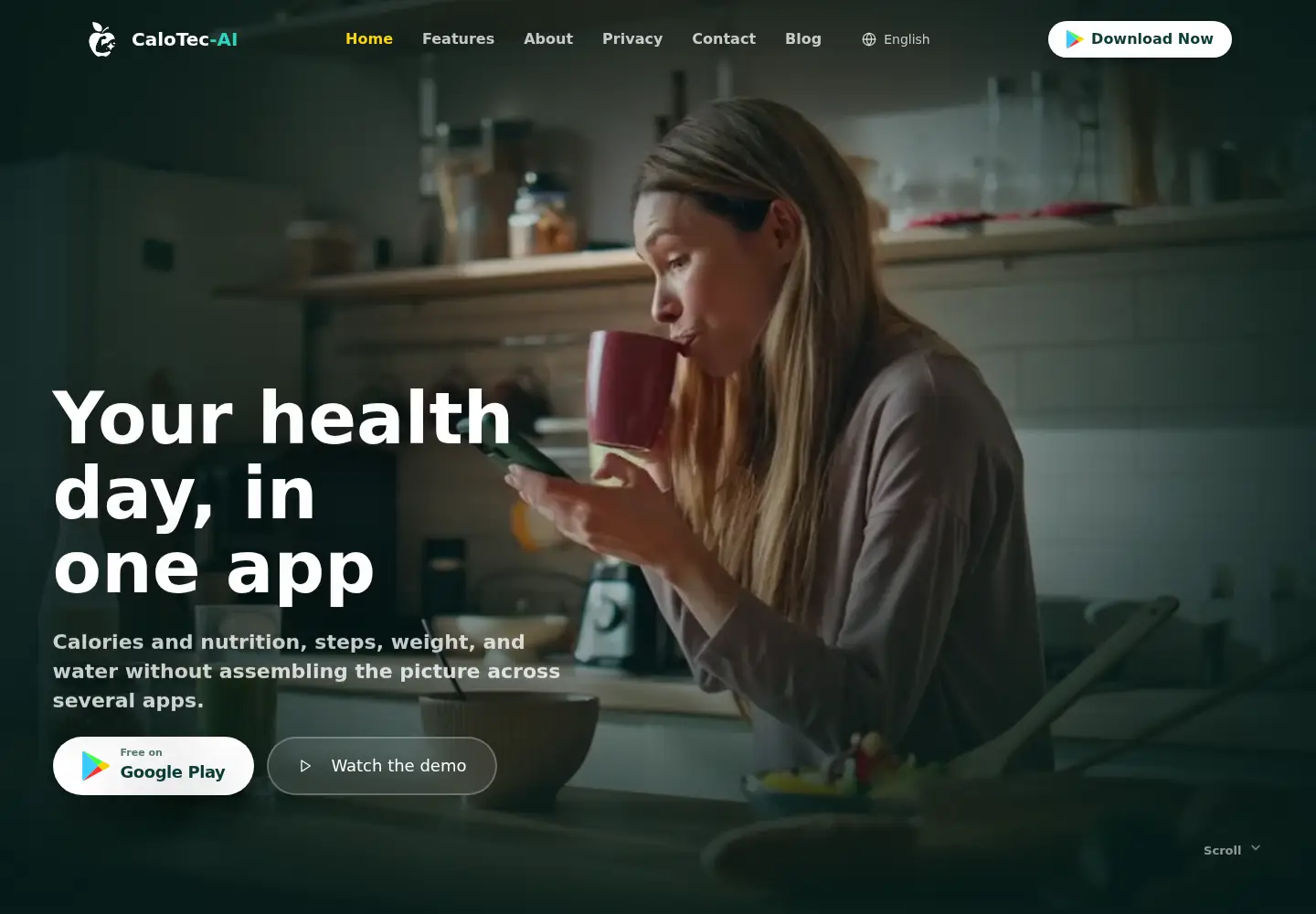 Captured homepage of calotec.app in the current scan