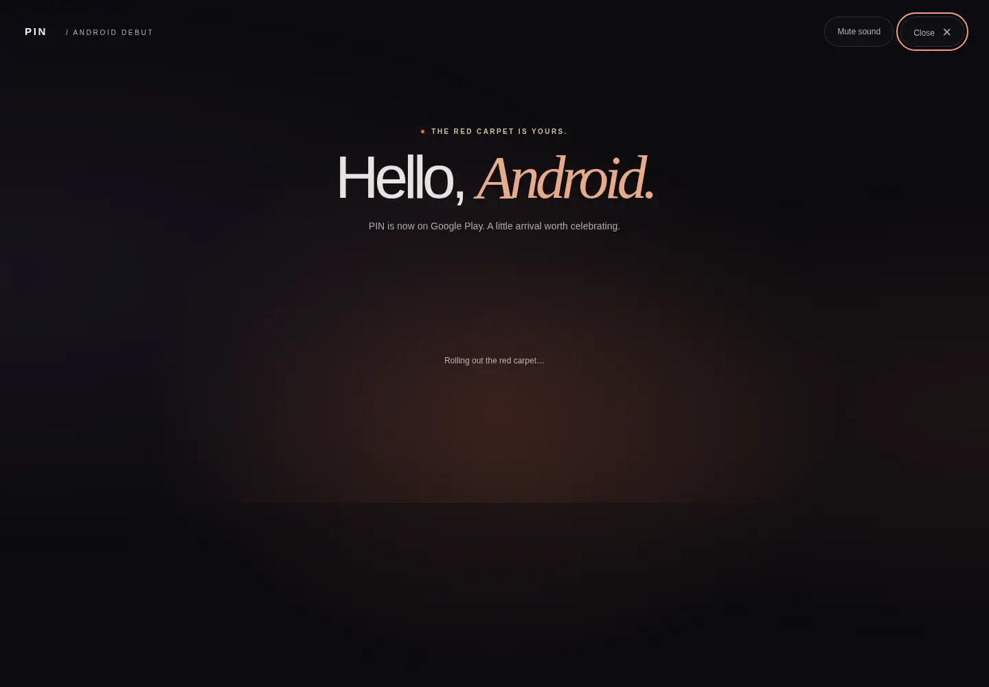 Captured homepage of catchandpin.app in the current scan