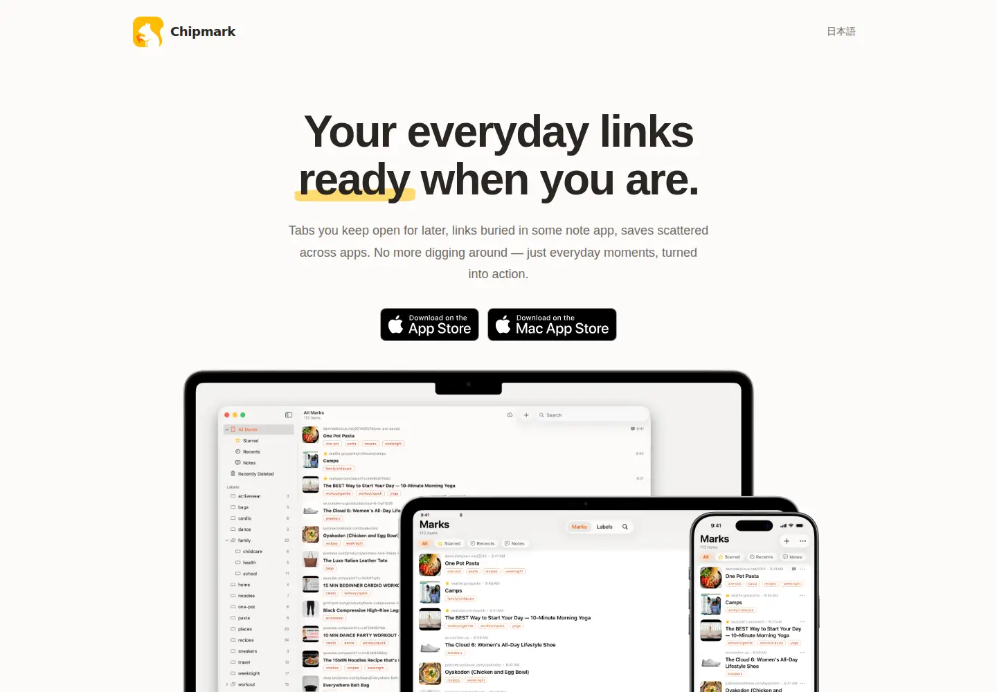 Captured homepage of chipmark.app in the current scan