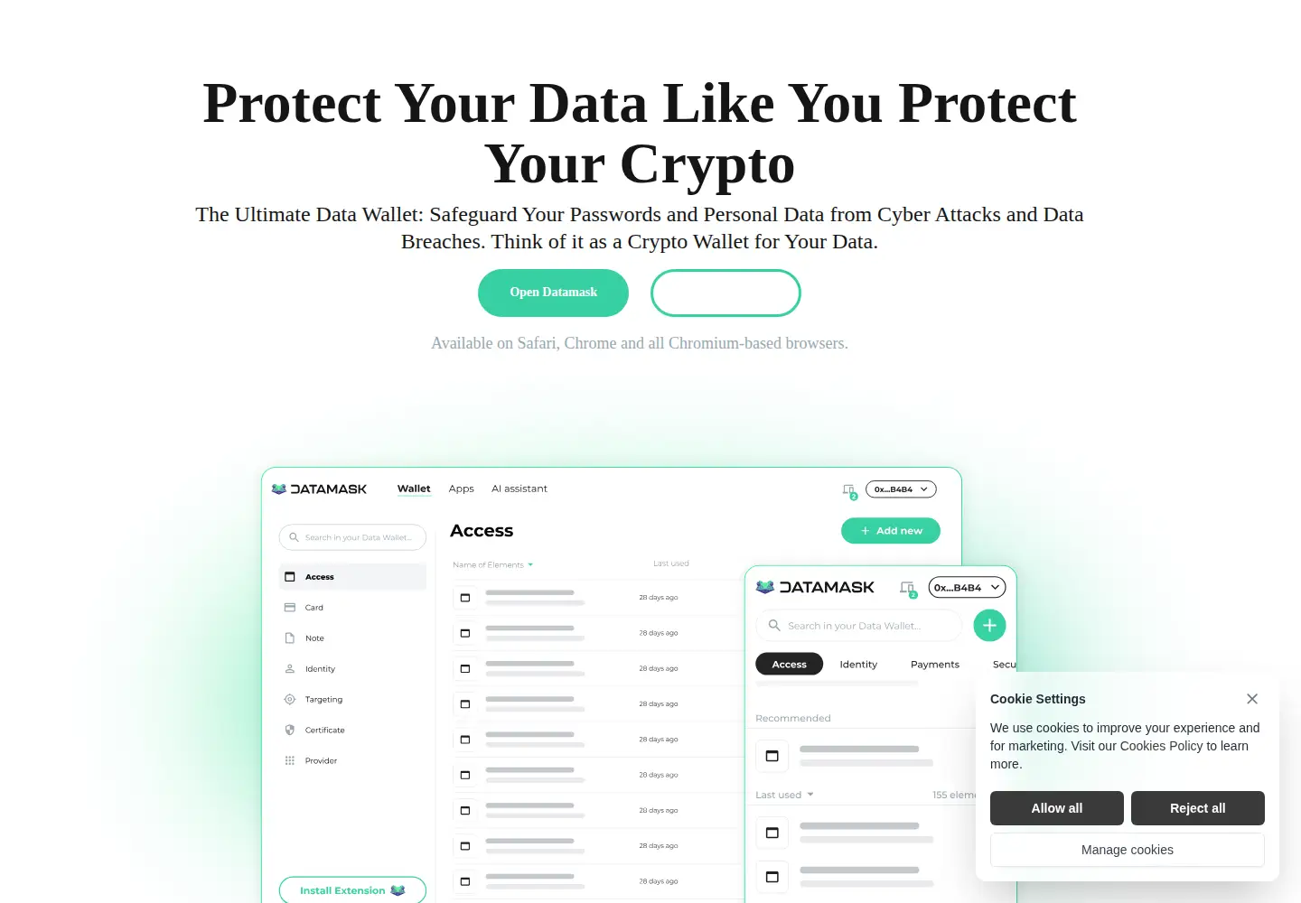 Captured homepage of datamask.app in the current scan