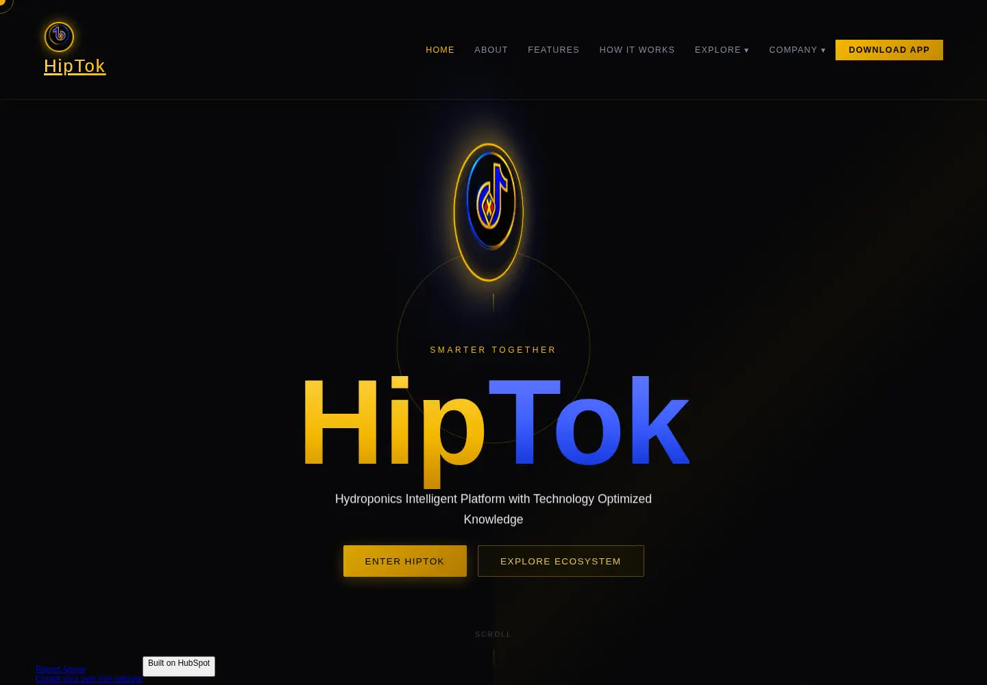 Captured homepage of hiptok.app in the current scan