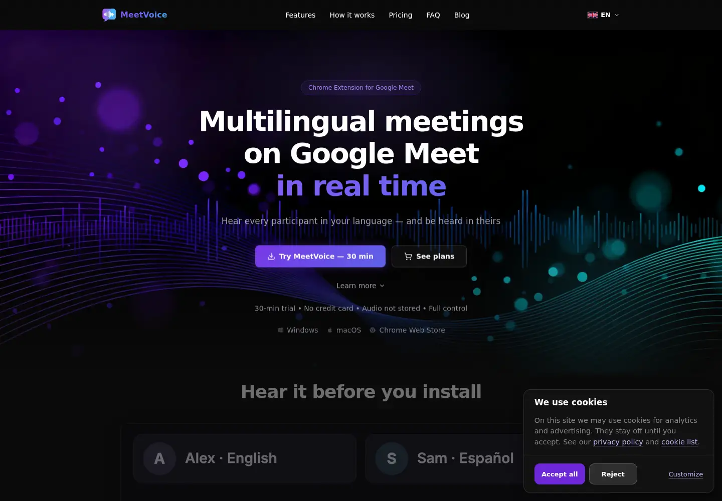 Captured homepage of meetvoice.app in the current scan