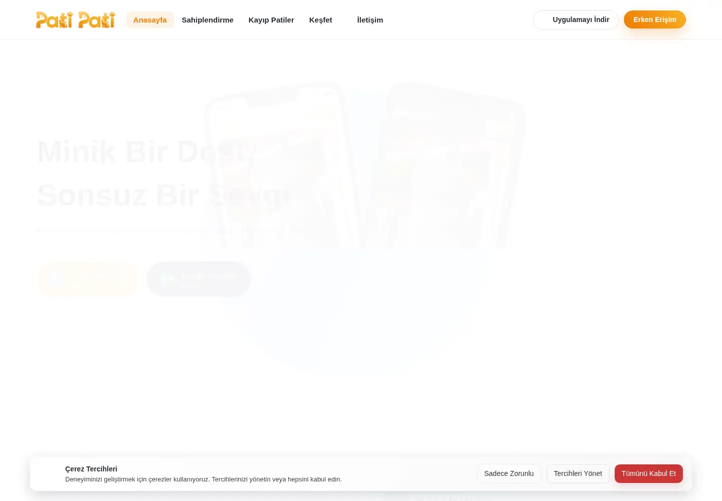 Screenshot of patipati.app