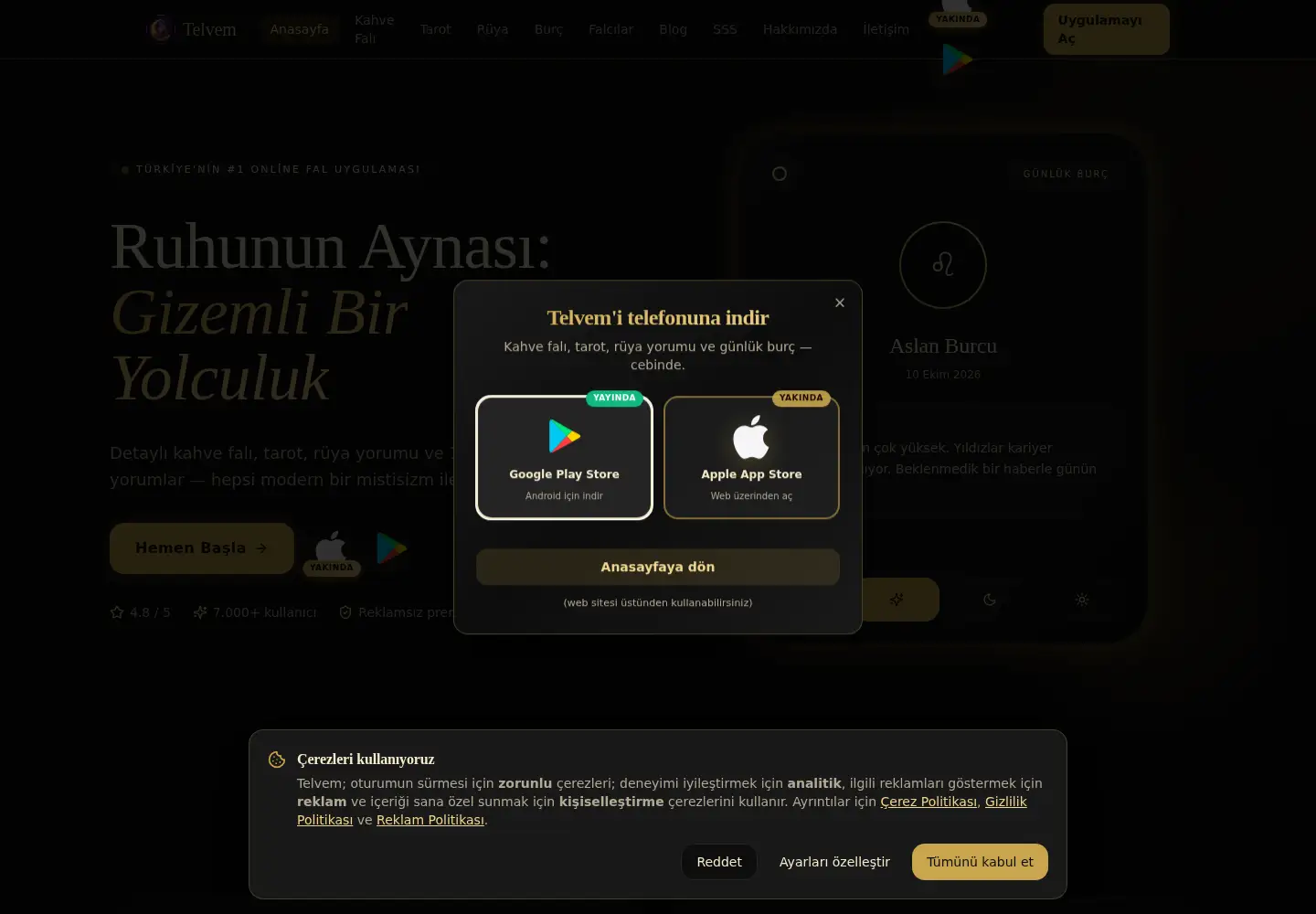 Screenshot of telvem.app