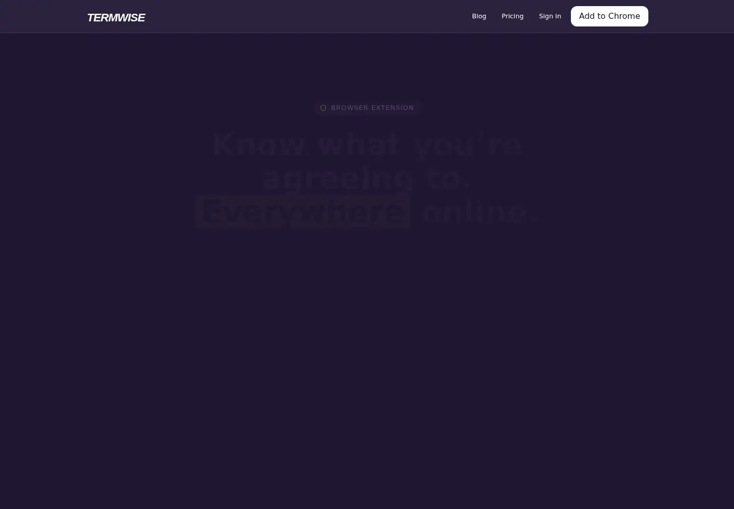 Captured homepage of termwise.app in the current scan