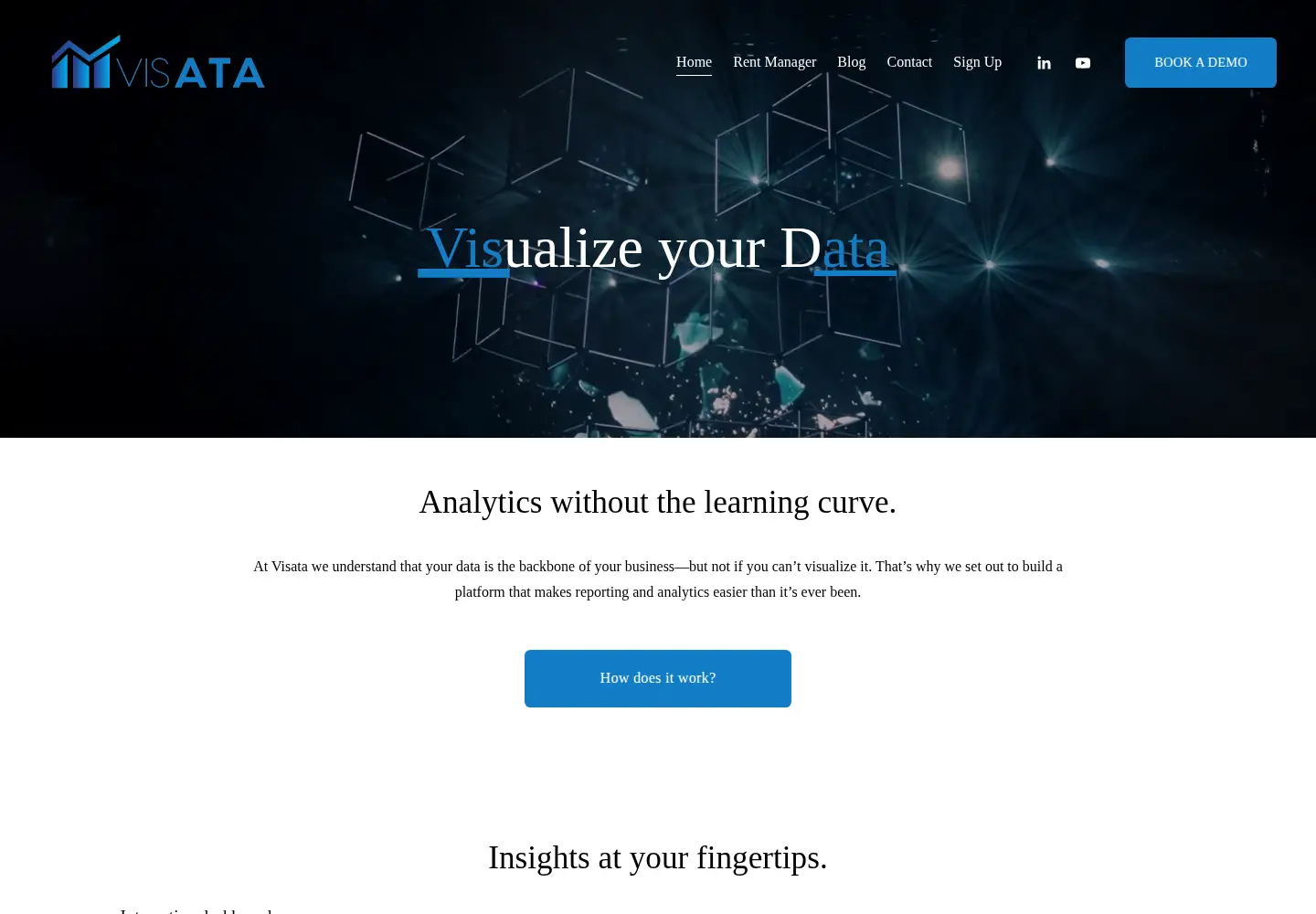 Captured homepage of visata.app in the current scan