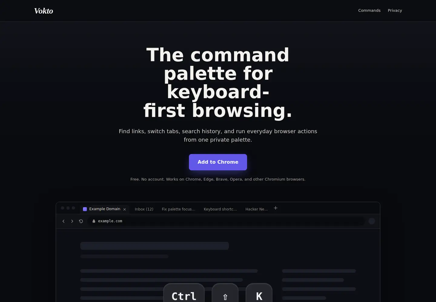 Captured homepage of vokto.app in the current scan