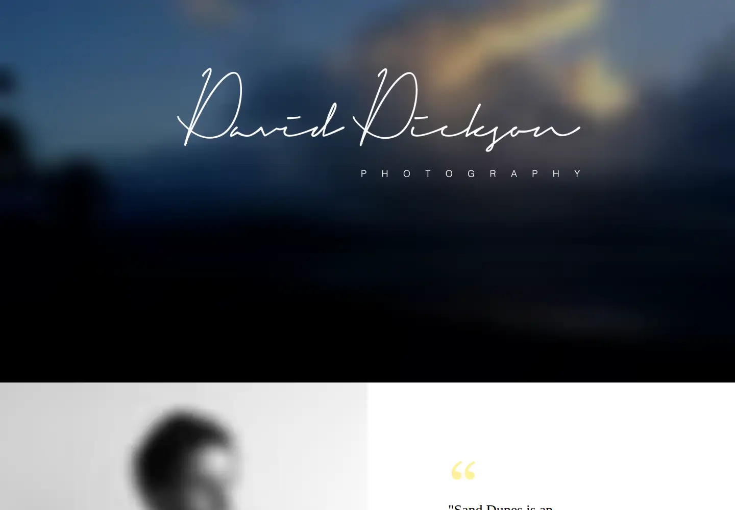 Captured homepage of daviddickson.com.au in the current scan