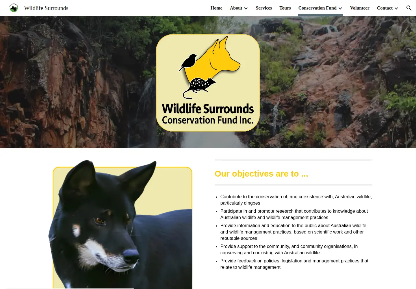Captured homepage of wscfi.org.au in the current scan