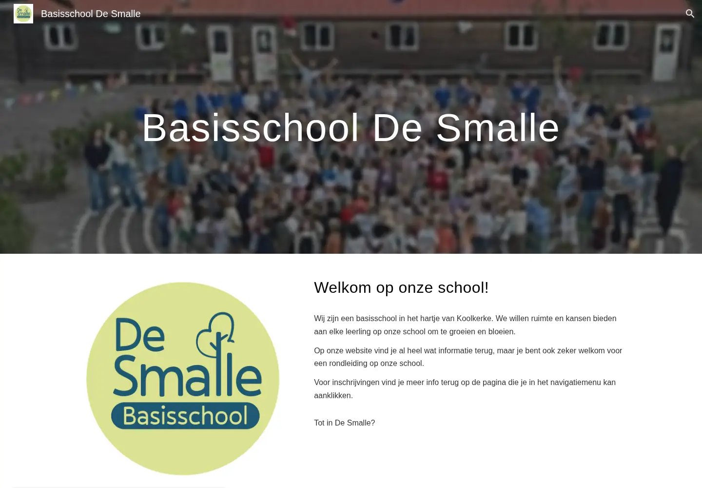 Captured homepage of desmalle.be in the current scan
