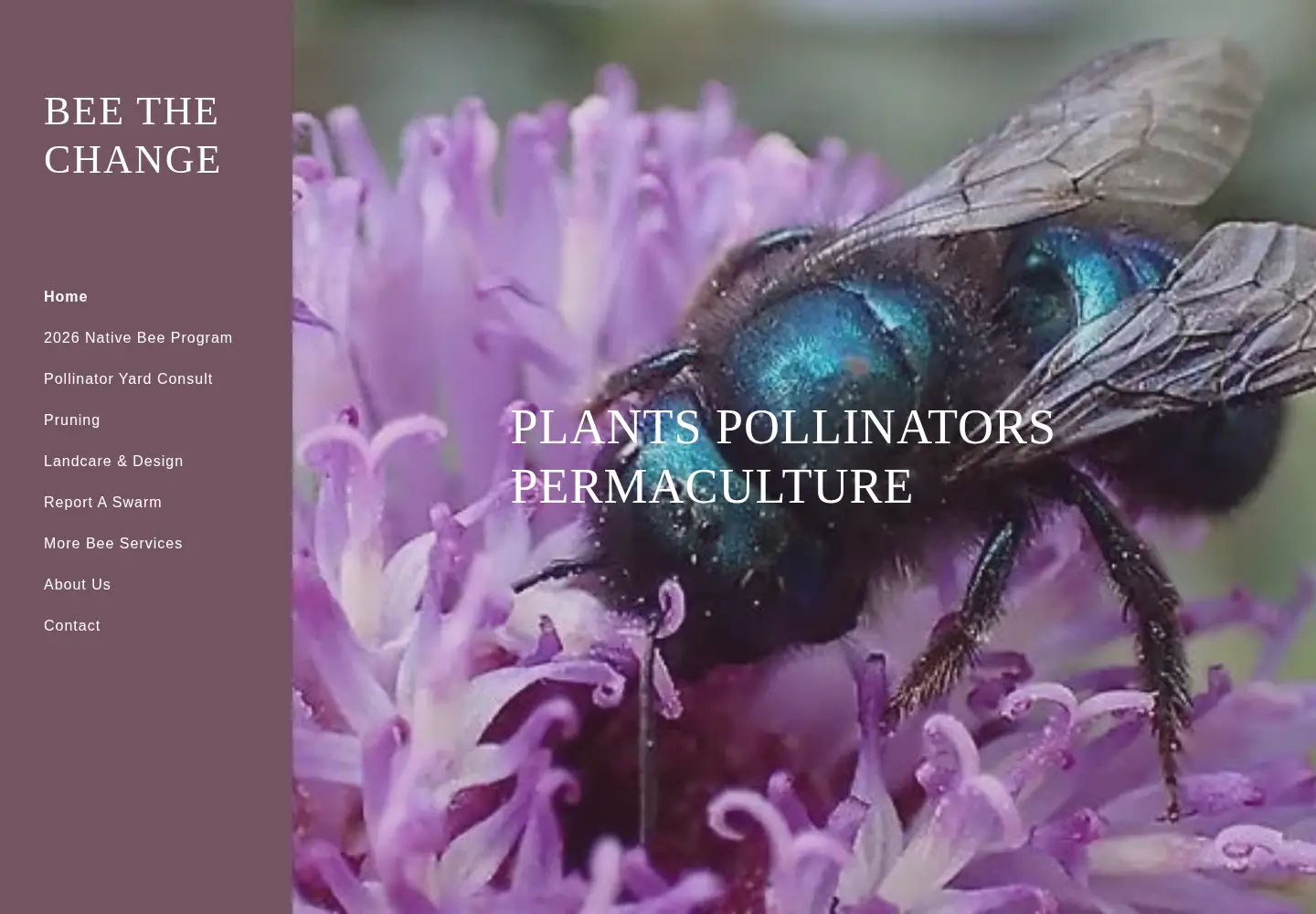 Captured homepage of beethechange.biz in the current scan