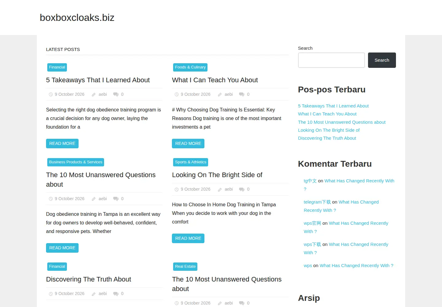 Screenshot of boxboxcloaks.biz