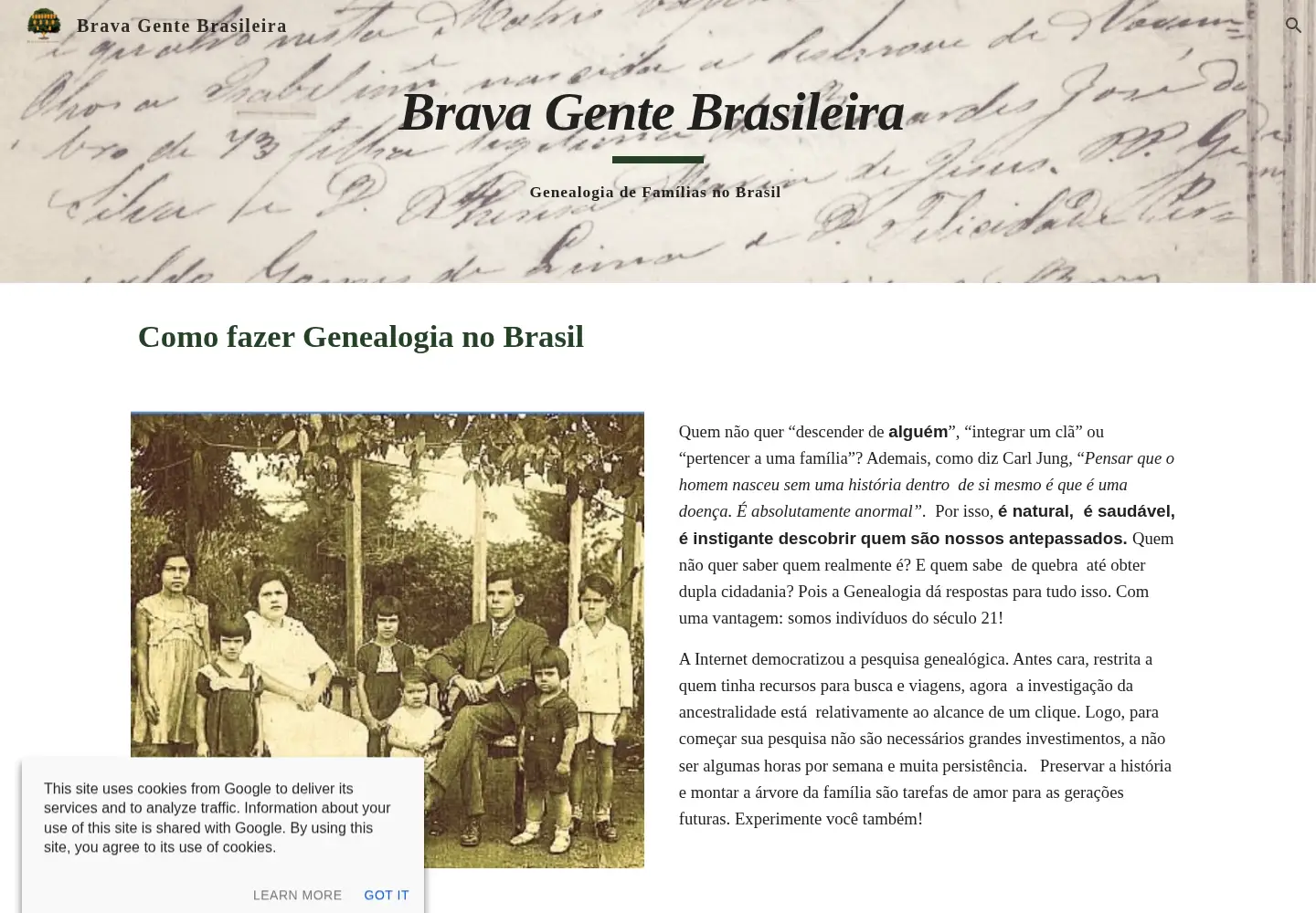 Captured homepage of bravagentebrasileira.art.br in the current scan